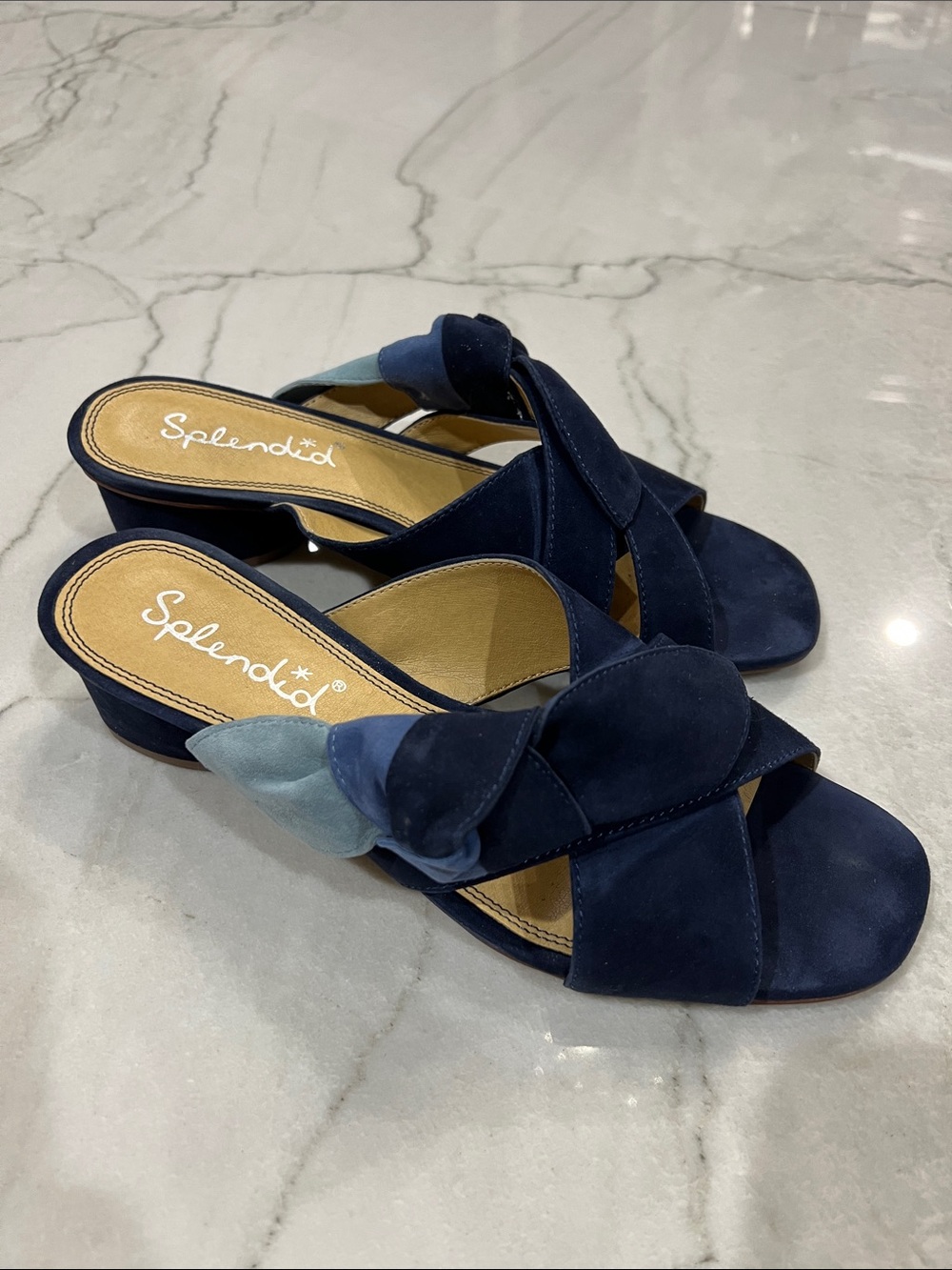 Splendid Beacon Navy and Blue Suede Sandals